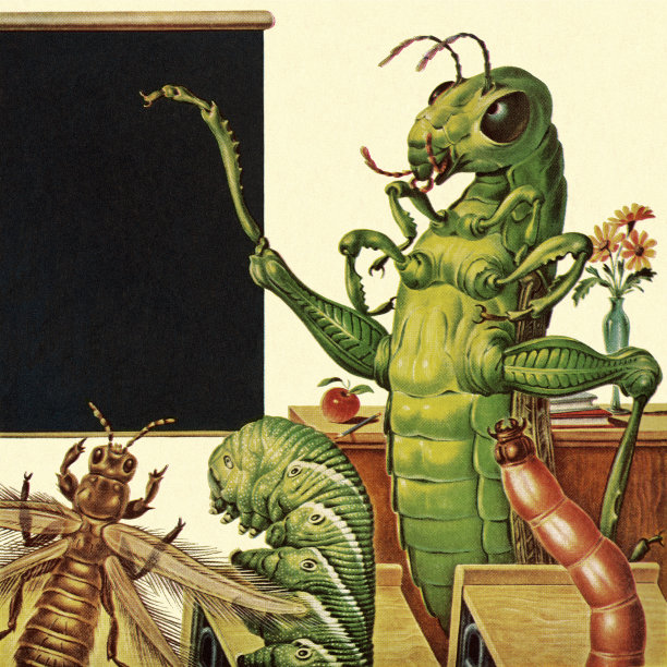 昆虫的教室图片下载