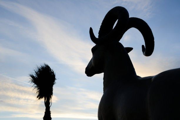 山羊轮廓图片下载