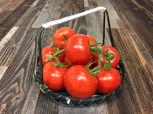 西红柿图片下载