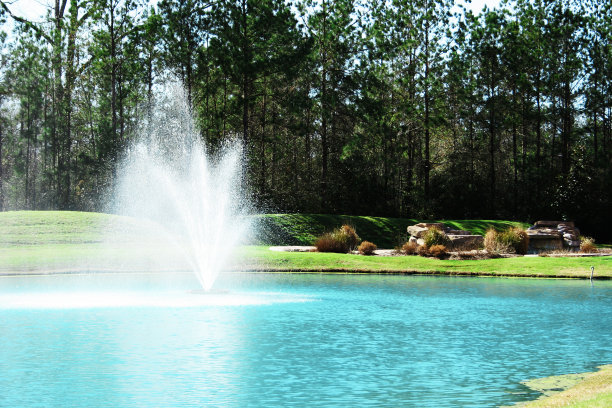 水景，小池塘，风景优美。春天,夏天。图片下载