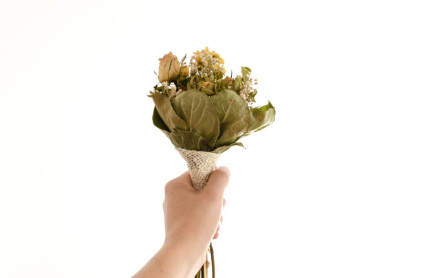 白种人男性的手给干花图片下载