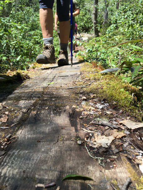 徒步旅行图片下载