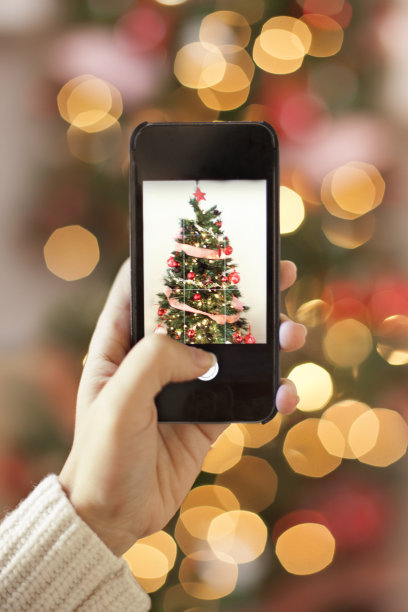 女人拍照装饰的树图片下载