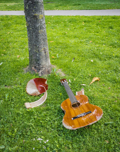 吉他，撞在树上折断图片下载