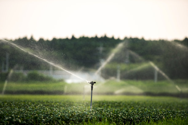 水洒水装置图片下载