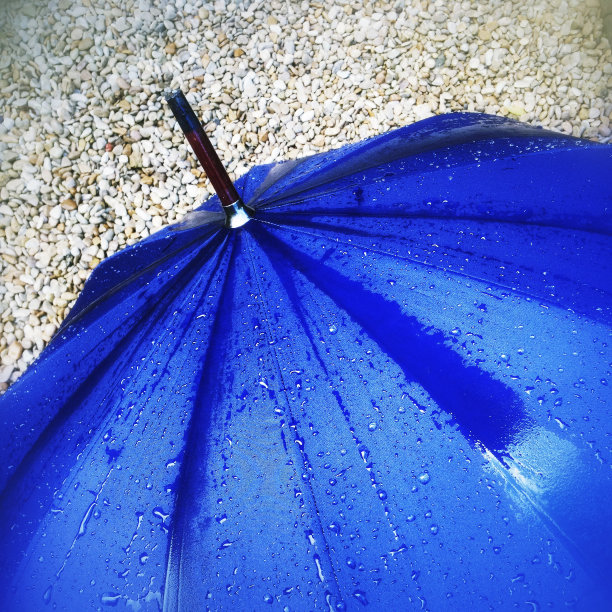 蓝色湿伞的特写图片下载