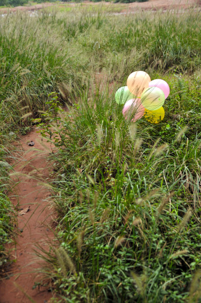 草地上的气球图片下载
