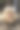 长着一张只有它妈妈才能爱的脸的公火鸡图片下载