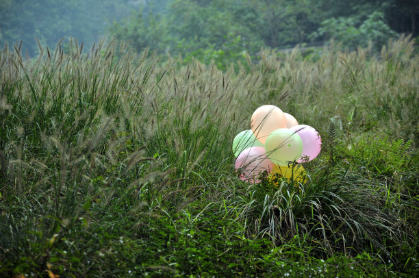草地上的气球图片下载