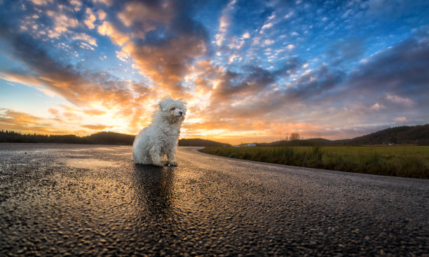 比肯弗里斯日落图片下载