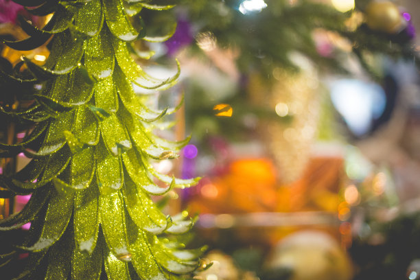 圣诞装饰户外晚上，莫斯科，俄罗斯，欧洲图片下载