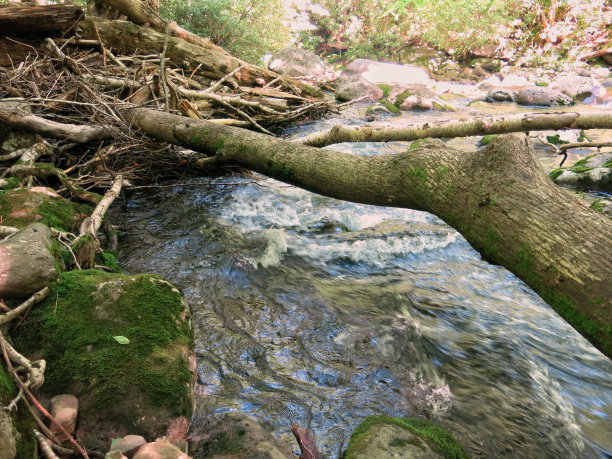 大烟山国家公园小溪，小溪，小溪，瀑布图片下载