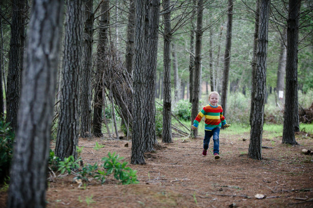 男孩在森林里奔跑图片下载