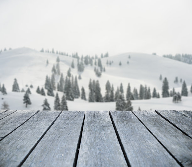 12月的雪图片下载
