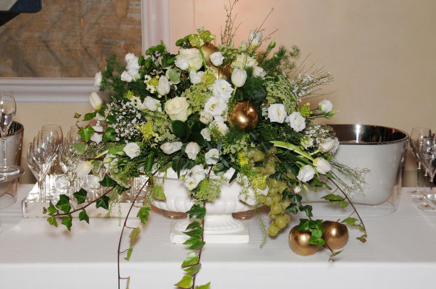 植物成分图片下载