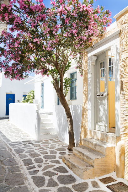 典型的白色希腊房屋和树，帕罗斯，希腊图片下载