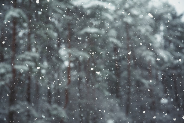 冬天的场景——树林里下雪素材图片