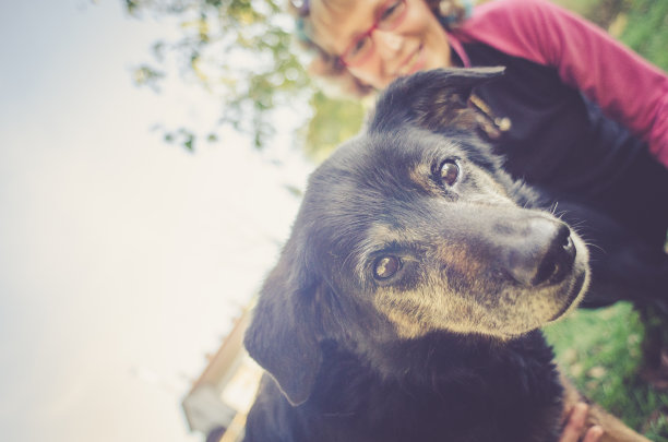 老年妇女户外与她的狗-地中海活跃老年人图片下载