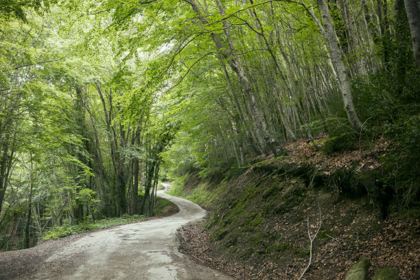 加泰罗尼亚山林路一瞥图片下载
