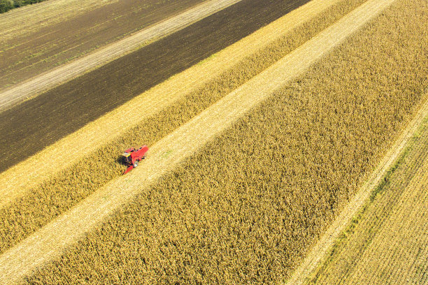 麦田照片素材ID：146130664