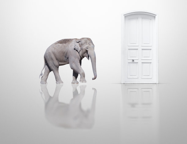 关着白门跟着大象走图片下载