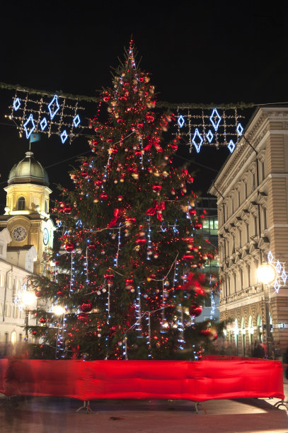 里耶卡圣诞树，背景是钟楼图片下载