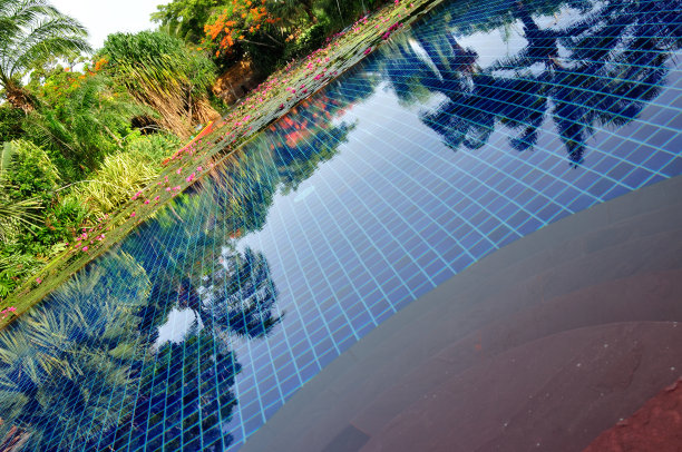 池的步骤图片下载