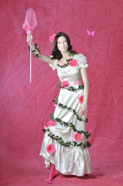 蝴蝶狩猎图片下载