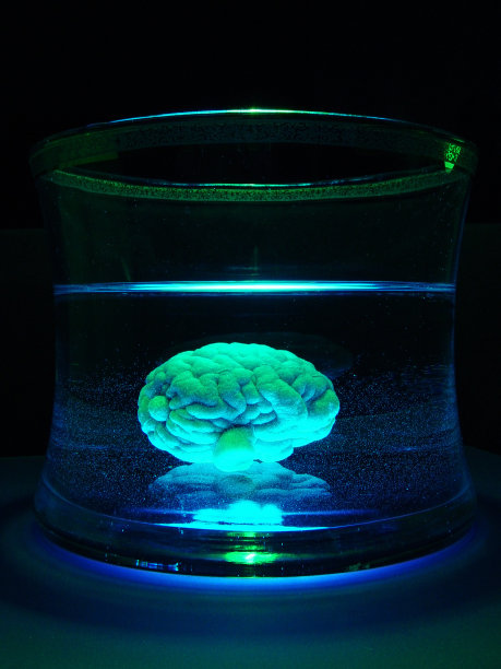 外星人大脑实验图片下载