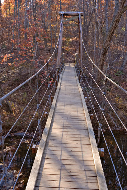 在吊桥上图片下载