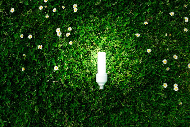 绿色草地上的节能灯泡。图片下载