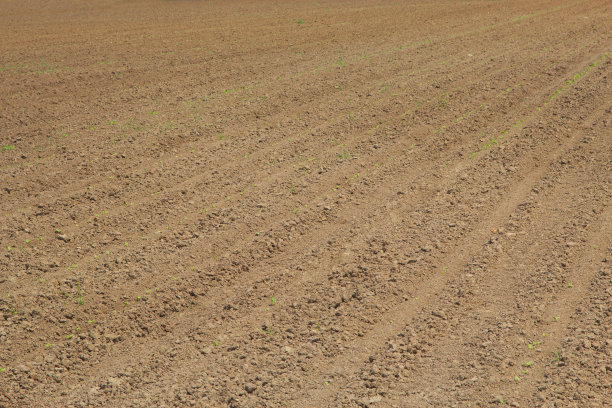 开垦的土地图片下载