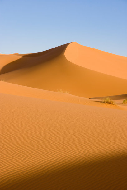 撒哈拉沙漠图片下载