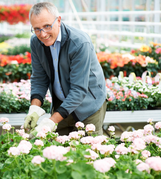 我热爱我的工作图片下载