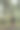一个女孩在树林里散步的风景照片图片下载