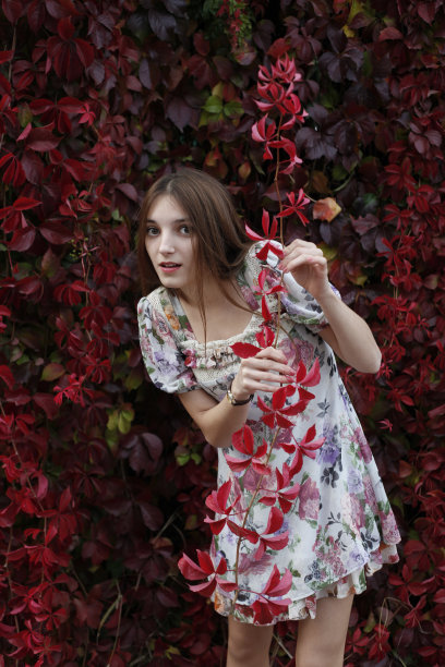 女人的肖像图片下载