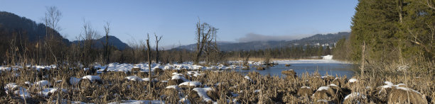 XXL冬湖全景与老草图片下载