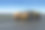 3D橙色赛车素材图片