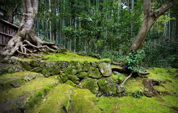 旧日本花园图片下载