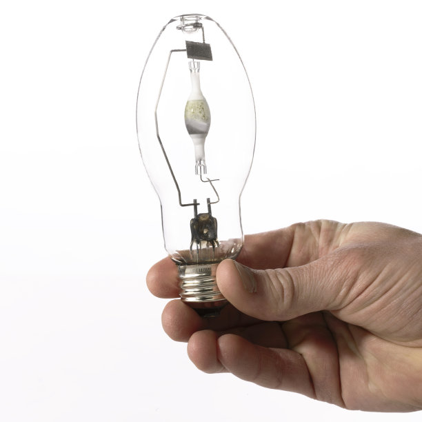 灯泡在手图片下载