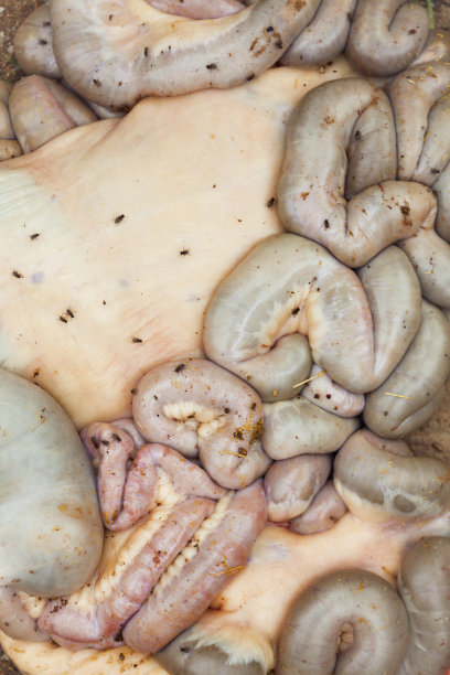 肮脏的背景图片下载