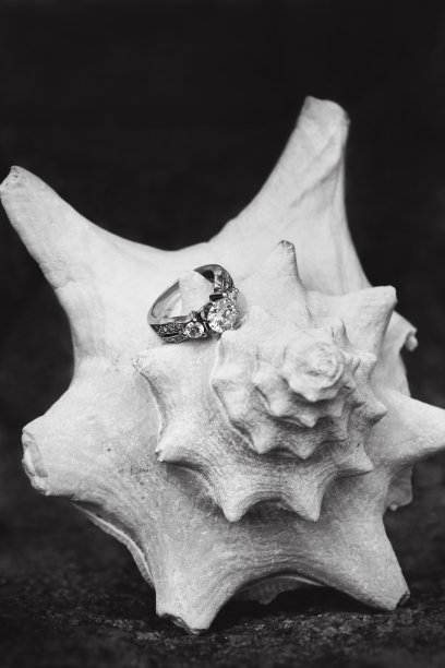 订婚戒指图片下载