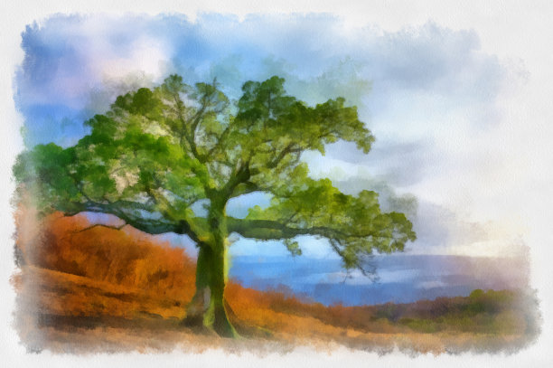 一个孤独的树图片下载