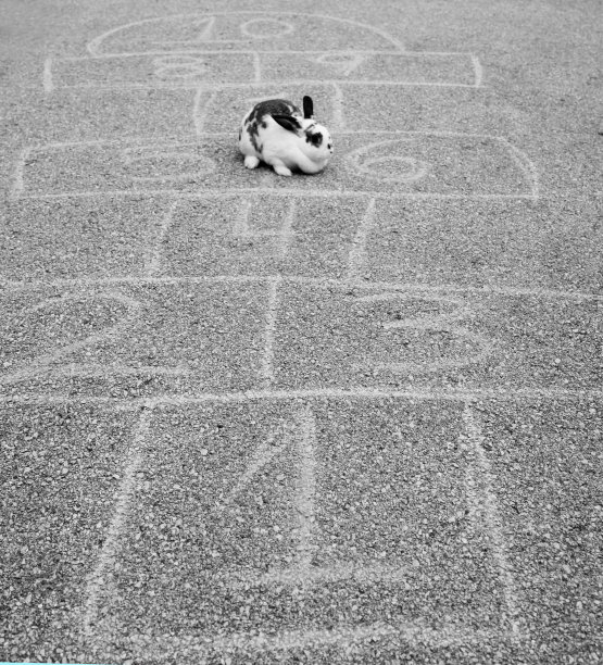 和兔子兔一起跳苏格兰舞图片下载