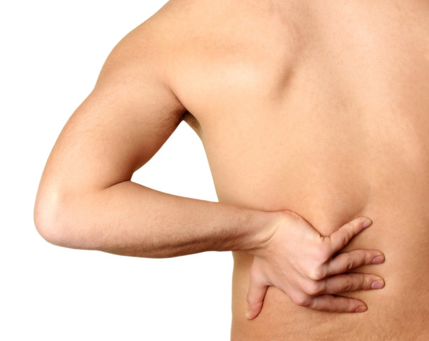 腰和肾脏图片下载