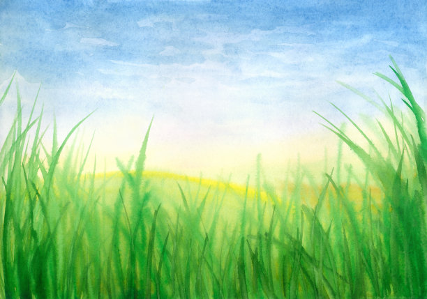 新的春天草图片下载