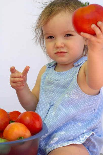 挑选西红柿图片下载