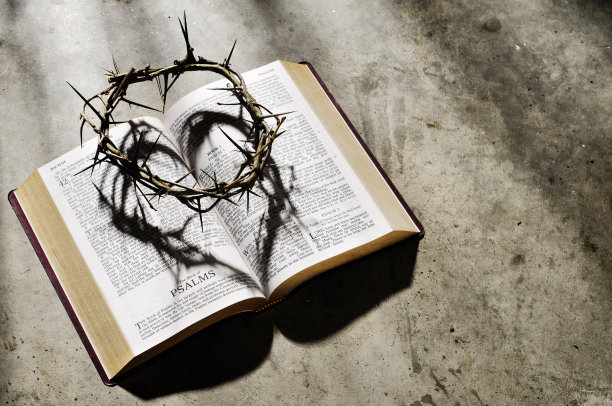 荆棘的冠冕图片下载