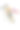 工作工具:积木，锤子和钳子孤立在白色图片下载