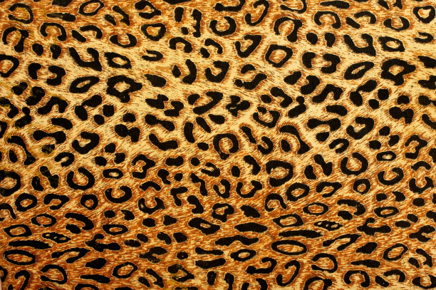 豹纹背景素材ID：146322946